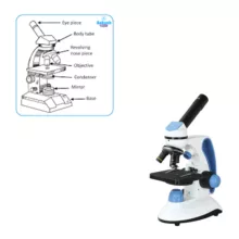 میکروسکوپ مدل BM-113RT