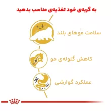 غذای خشک گربه رویال کنین مدل persian adult وزن 2 کیلوگرم