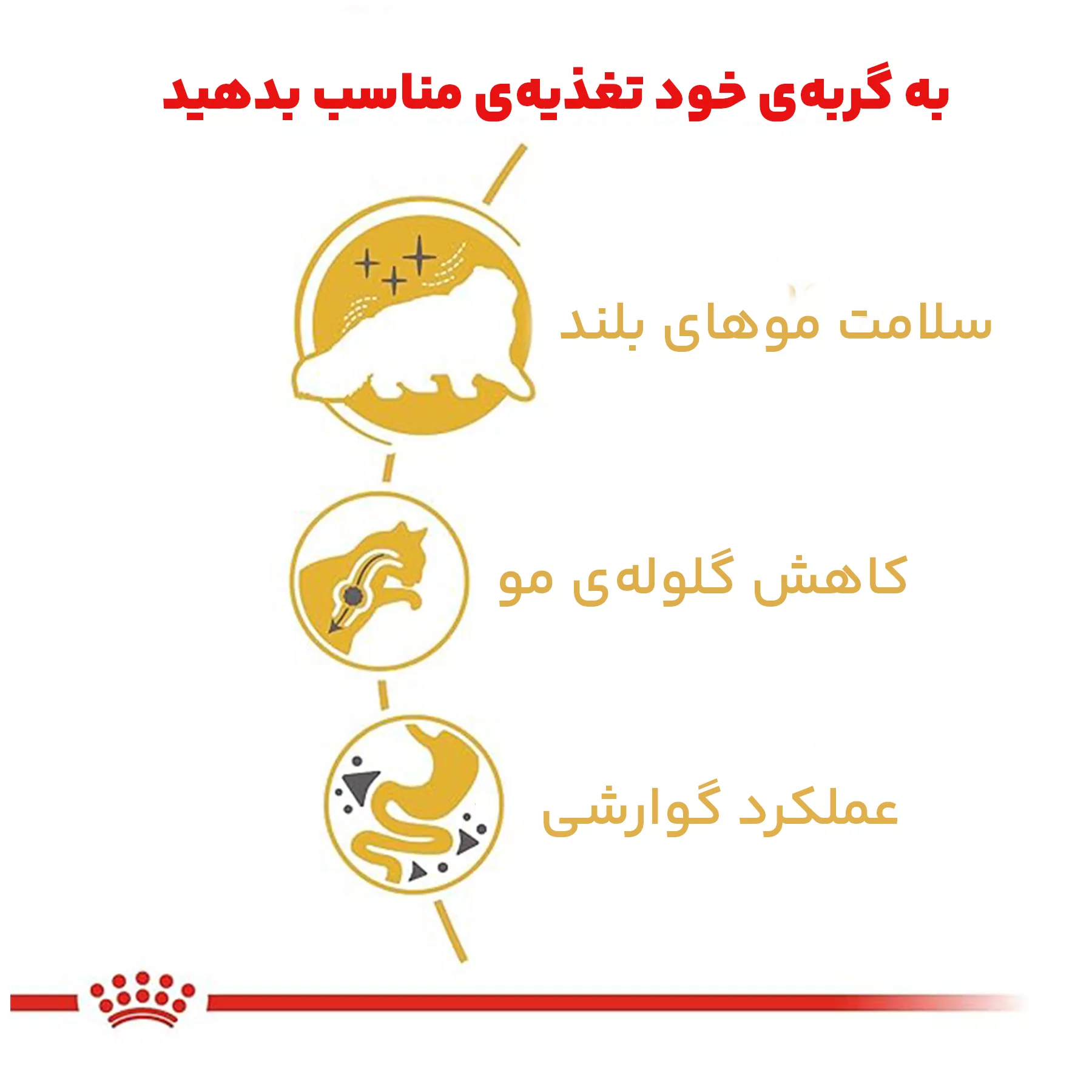 غذای خشک گربه رویال کنین مدل persian adult وزن 2 کیلوگرم