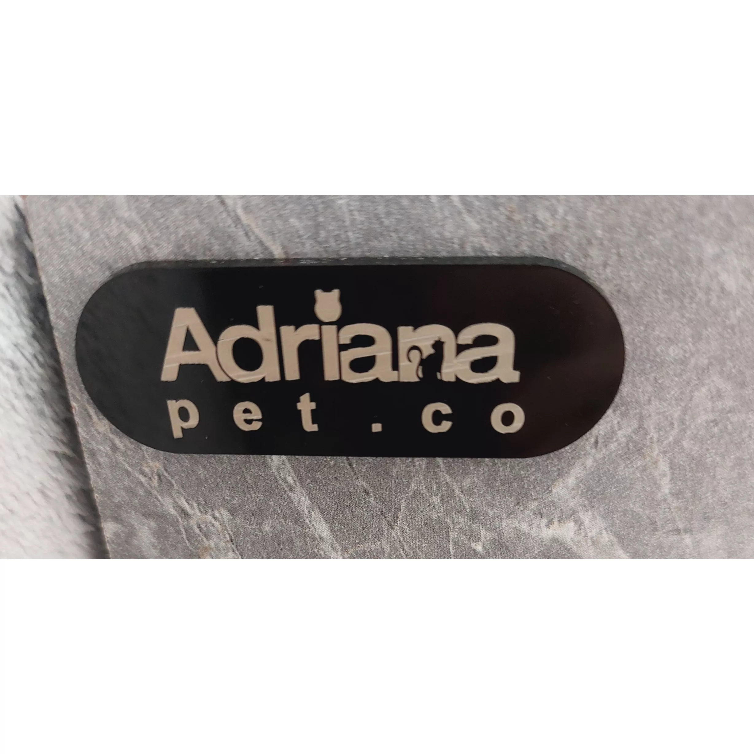 اسکرچر گربه آدریاناپت کو مدل ستاره درخشان