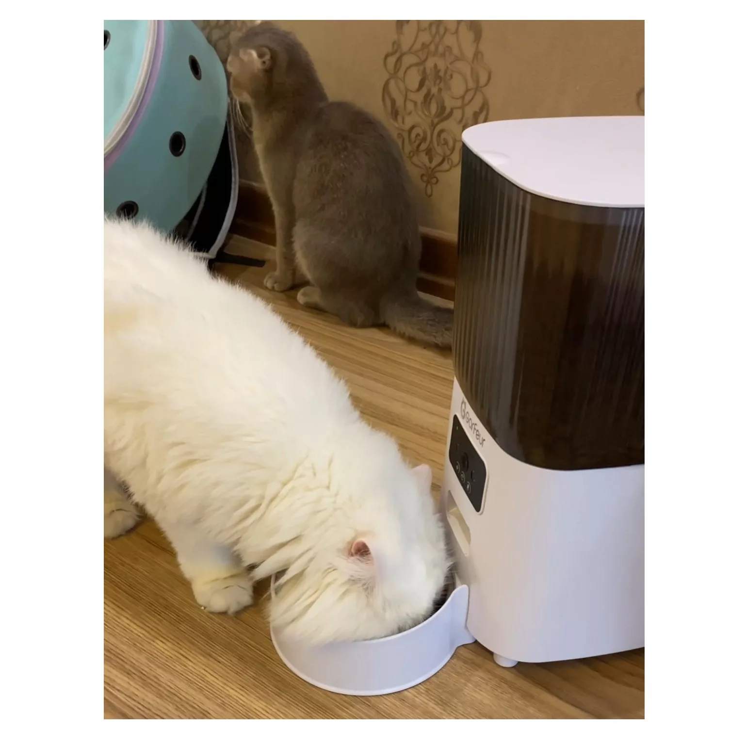 ظرف غذای اتوماتیک سگ و گربه گارفیور مدل wifi-5