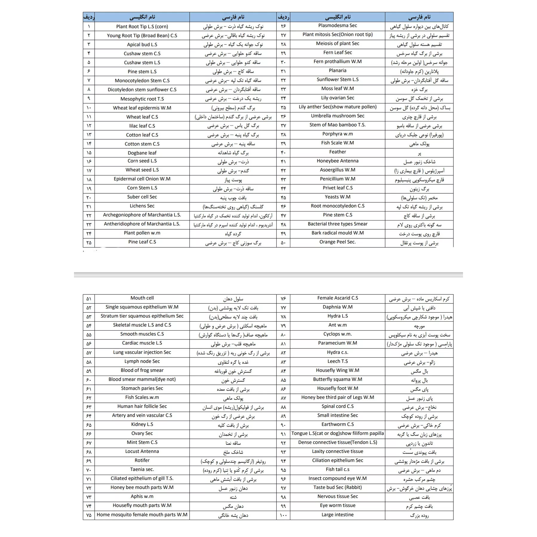 اسلاید میکروسکوپ برسر مدل آماده مجموعه 100 عددی