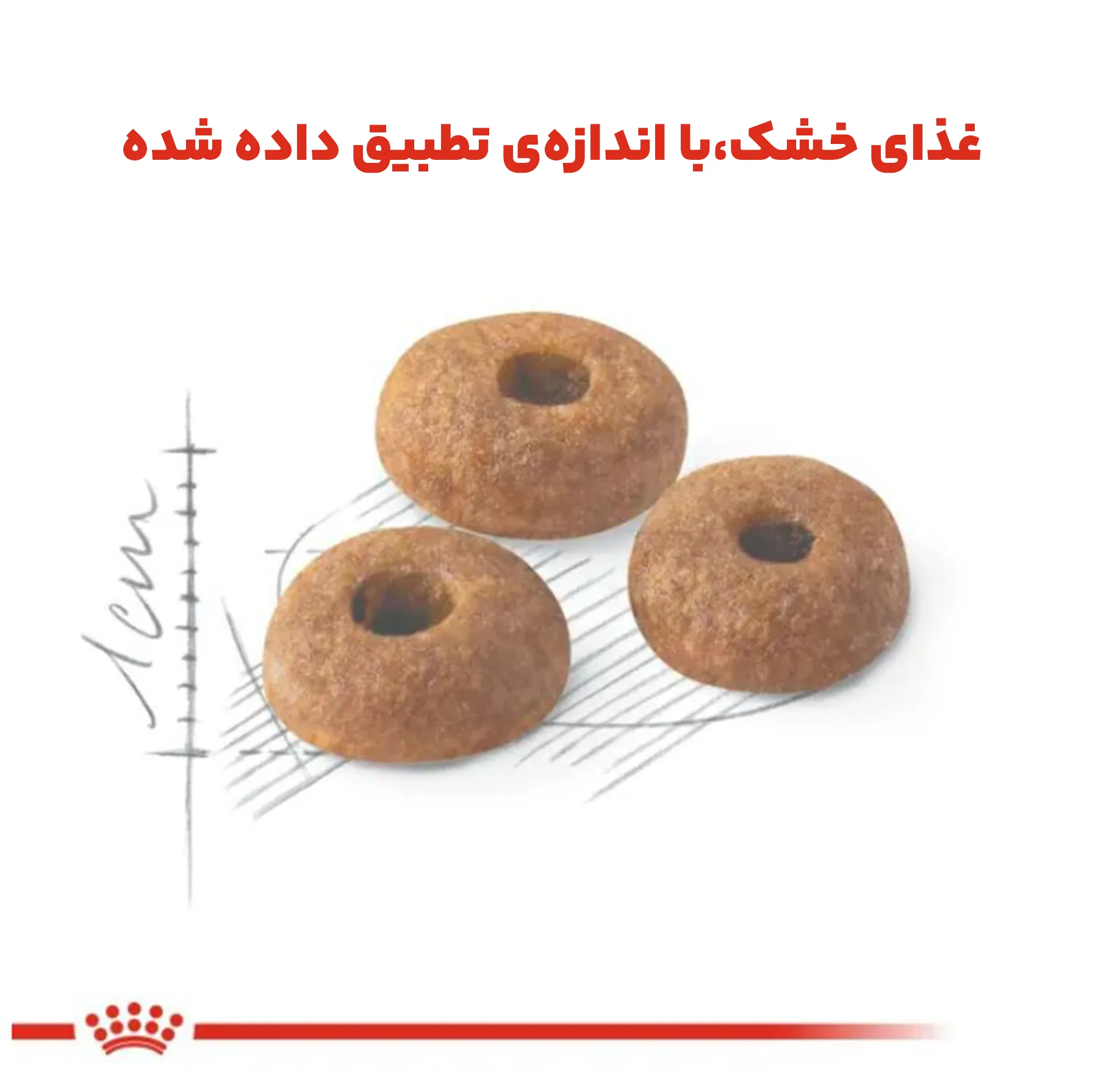 غذای خشک گربه رویال کنین مدل کنترل وزن Regular Fit 32 وزن 2 کیلوگرم