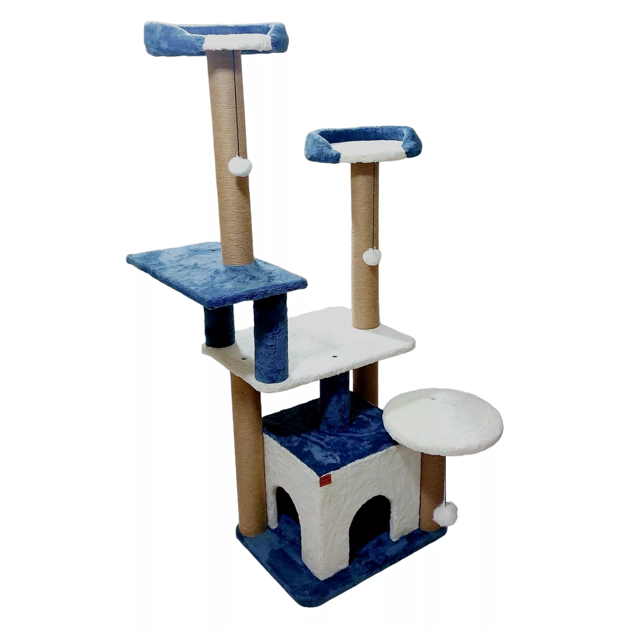 اسکرچر گربه آدریاناپت کو مدل کاملیا