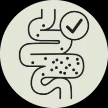 غذای خشک گربه جوسرا مدل GASTROINTESTINAL وزن 2 کیلوگرم
