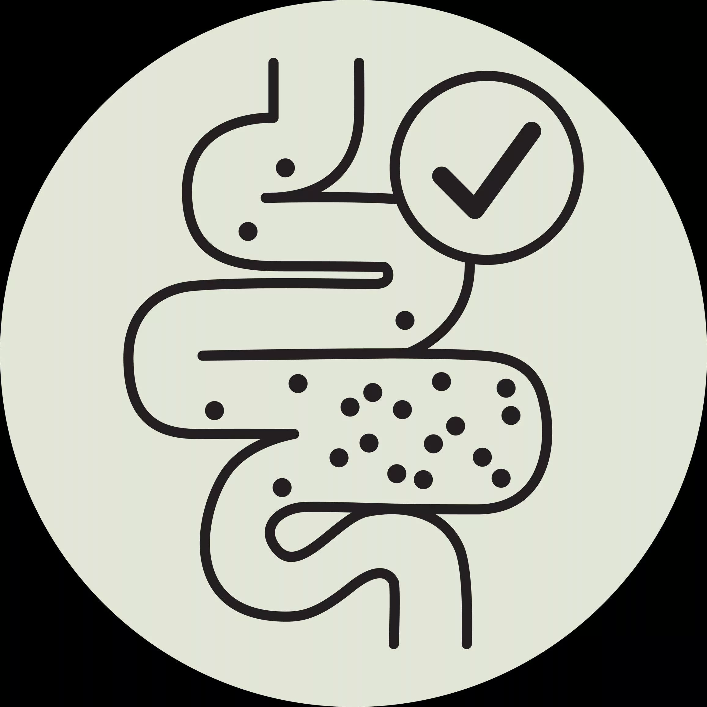 غذای خشک گربه جوسرا مدل GASTROINTESTINAL وزن 2 کیلوگرم