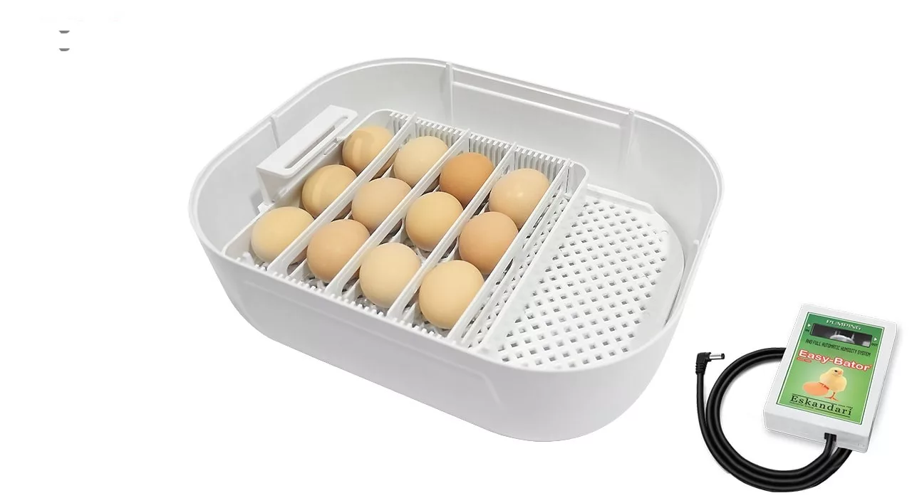 دستگاه جوجه کشی مدل easy-bator6 ظرفیت 12 عددی