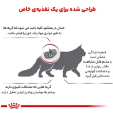 غذای خشک گربه رویال کنین مدل رنال وزن 2 کیلوگرم
