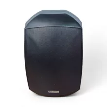 اسپیکر دکوراتیو ام پرو DP-4100