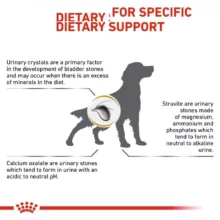 غذای خشک سگ رویال کنین مدل Urinary s/o وزن 2 کیلوگرم