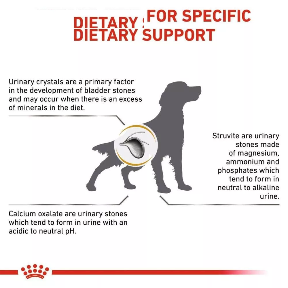 غذای خشک سگ رویال کنین مدل Urinary s/o وزن 2 کیلوگرم