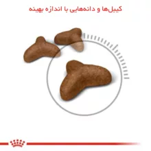 غذا خشک گربه رویال کنین مدل light weight care وزن 1.5 کیلوگرم