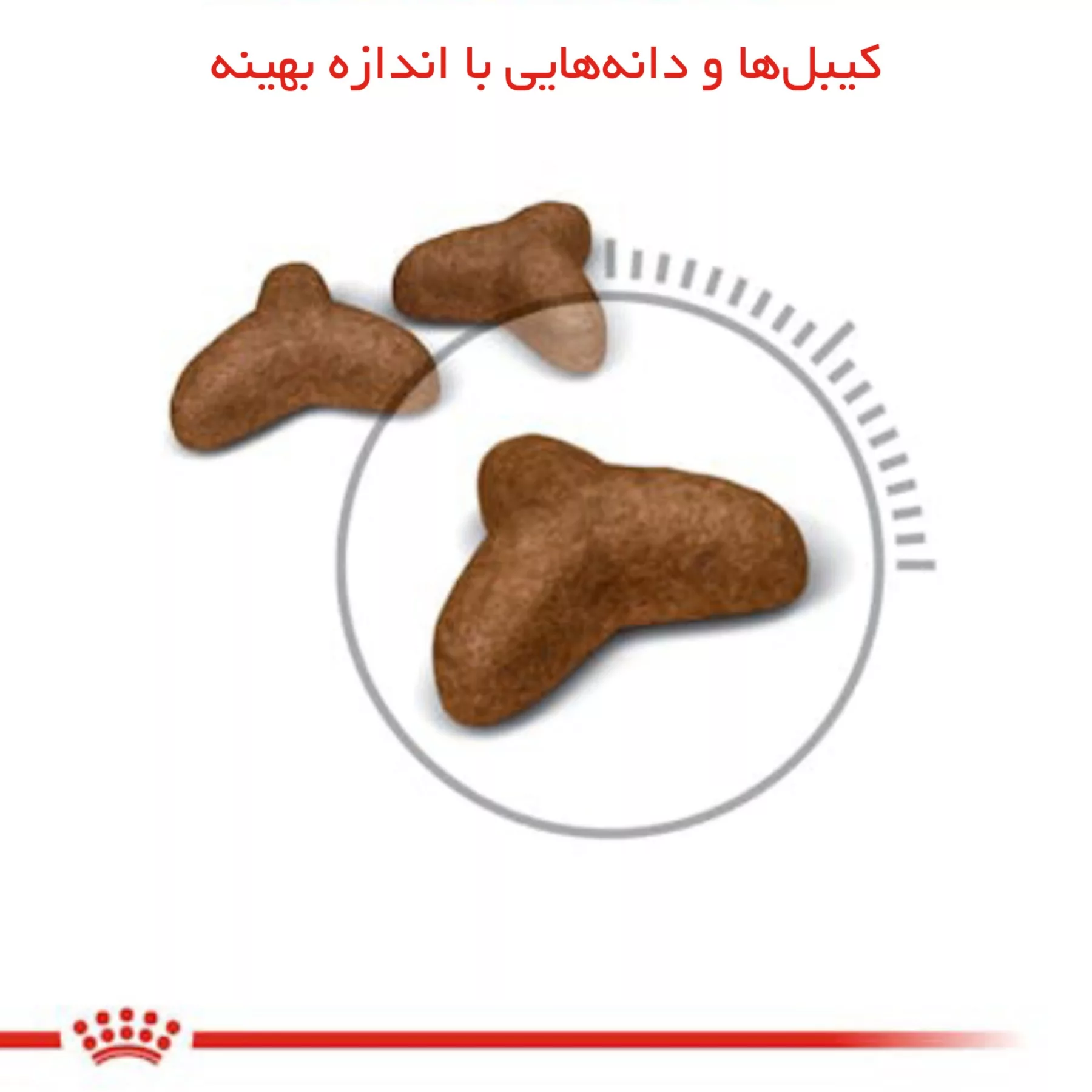 غذا خشک گربه رویال کنین مدل light weight care وزن 1.5 کیلوگرم