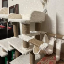 اسکرچر گربه مدل Kadcat-cts200