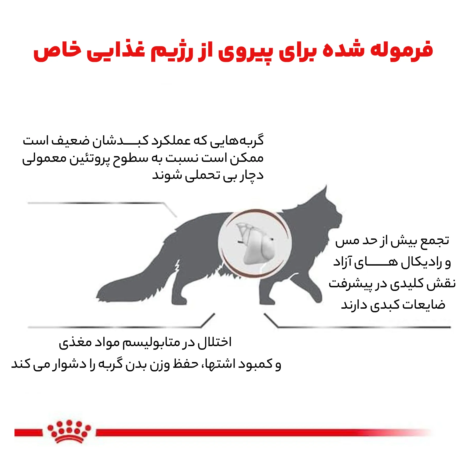 غذای خشک گربه رویال کنین مدل Hepatic S/O Index هپاتیک وزن 2 کیلوگرم