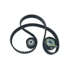 کیت تسمه تایم آی ان آ مدل 530037910 مناسب برای 206 تیپ 5