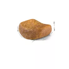 غذا خشک گربه رویال کنین مدل بریتیش ادلت وزن 2 کیلوگرم