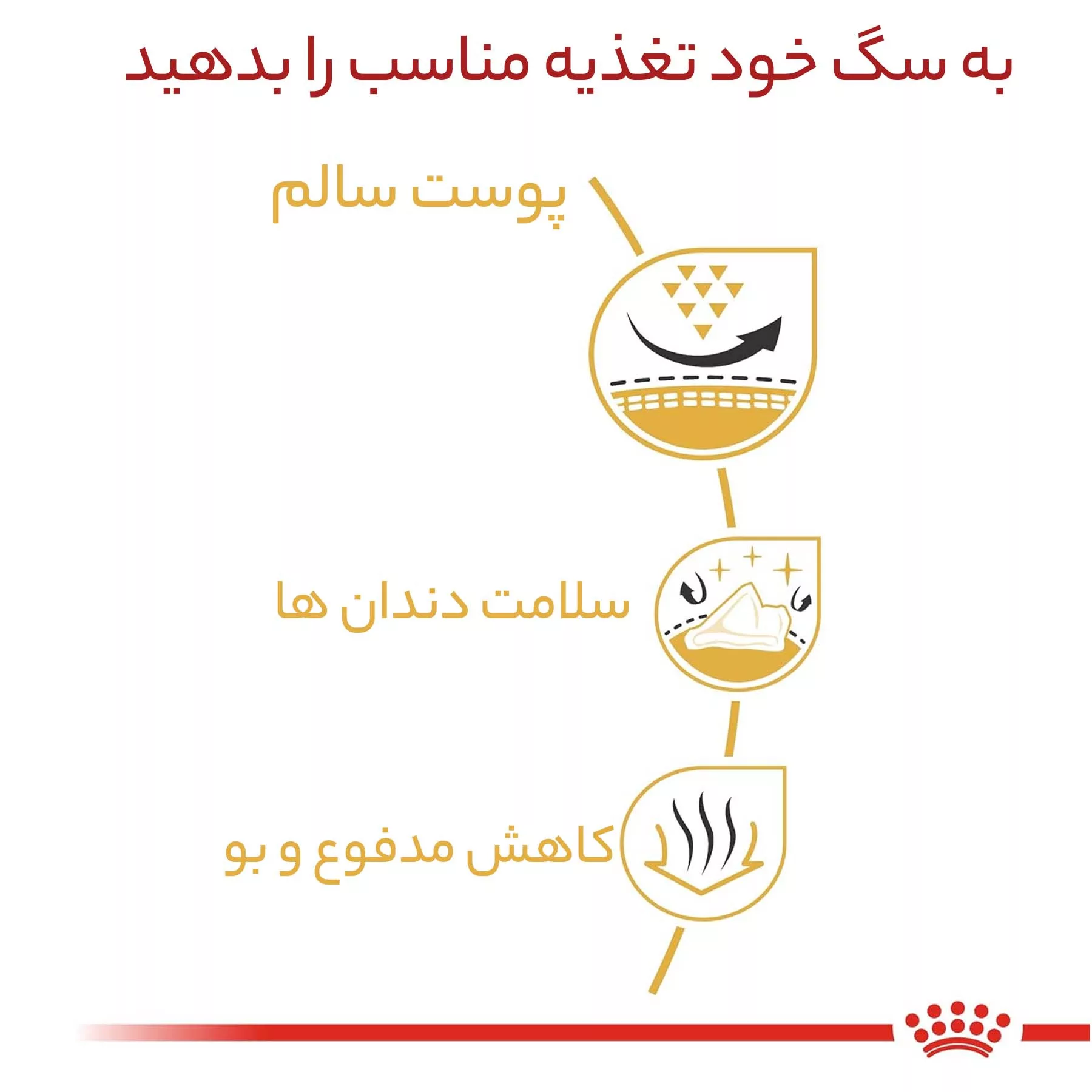غذای خشک سگ رویال کنین مدل شیتزو وزن 1.5 کیلوگرم
