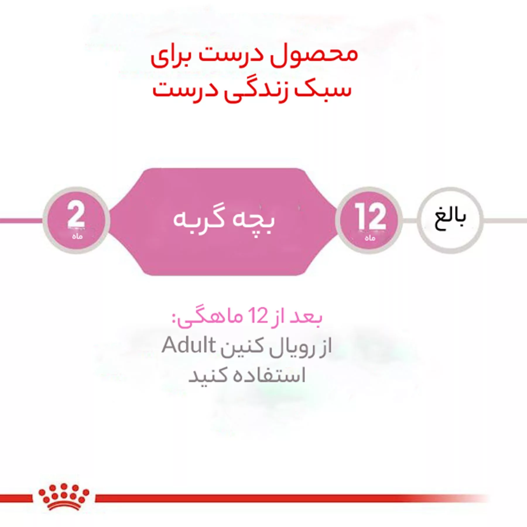 غذای خشک گربه رویال کنین مدل sterilised وزن 2 کیلوگرم