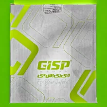 پایه فیلتر روغن جی آی اس پی مدل 00365 مناسب برای پژو 206 تیپ 2