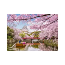 پازل آموزشی مدل پینتینگ طرح شکوفه کد 01