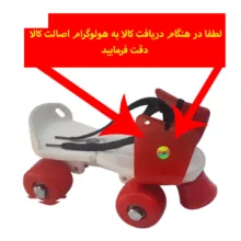اسکیت کفشی مدل چهارچرخ به همراه کلاه و لوازم ایمنی و کیف قابل حمل