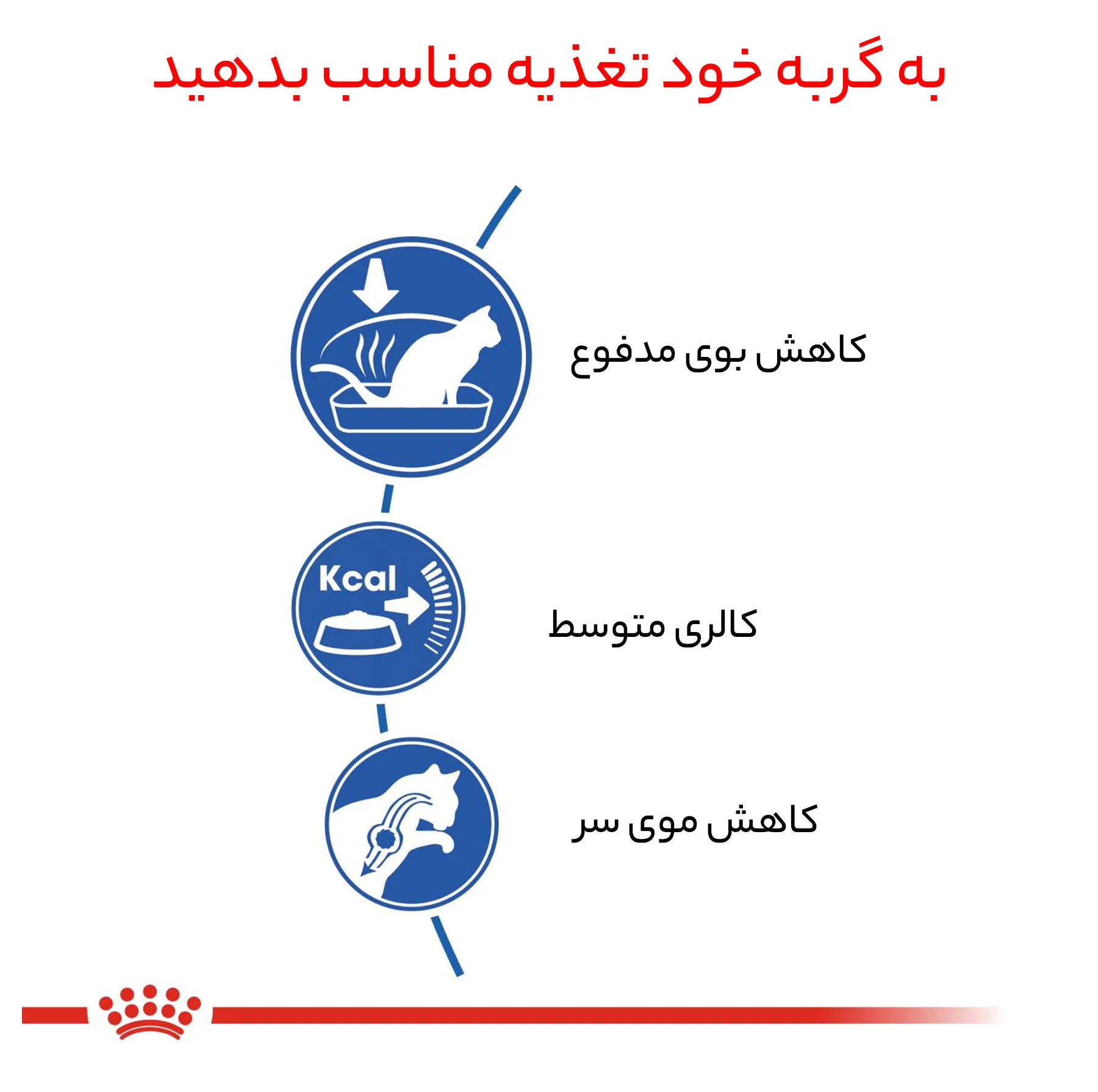 غذای خشک گربه رویال کنین مدل home life indoor وزن 2 کیلوگرم