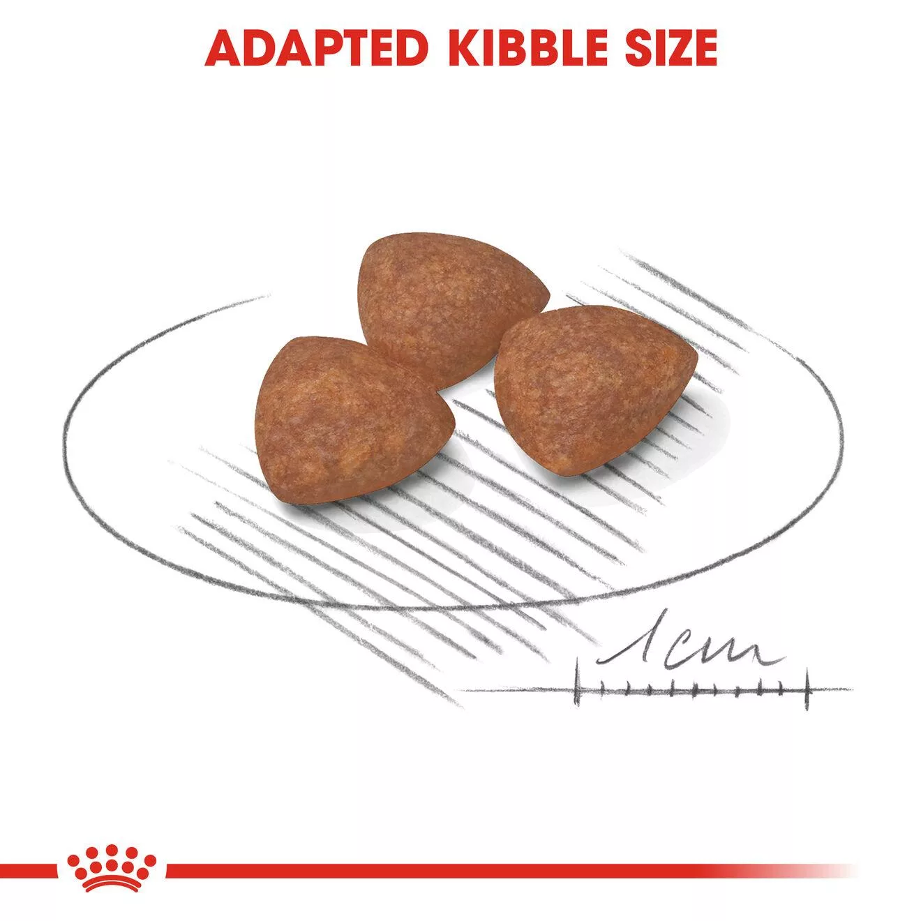 غذای خشک سگ رویال کنین مدل MINI INDOOR PUPPY وزن 1.5 کیلوگرم