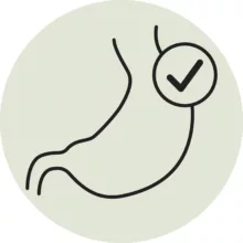 غذای خشک گربه جوسرا مدل GASTROINTESTINAL وزن 2 کیلوگرم