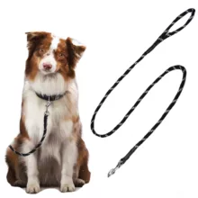 قلاده سگ هوم باکس مدل Canine