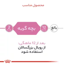 غذا خشک بچه گربه رویال کنین مدل kitten up to 12 months وزن 2 کیلوگرم