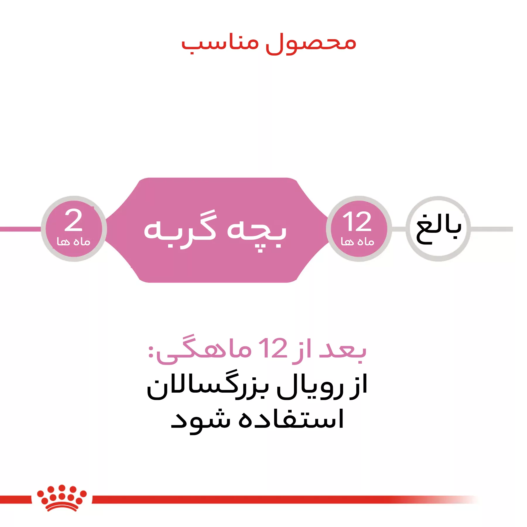 غذا خشک بچه گربه رویال کنین مدل kitten up to 12 months وزن 2 کیلوگرم