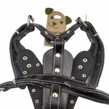 قلاده کمری سگ رومیتو طرح چرمی مدل گلادیاتور 2