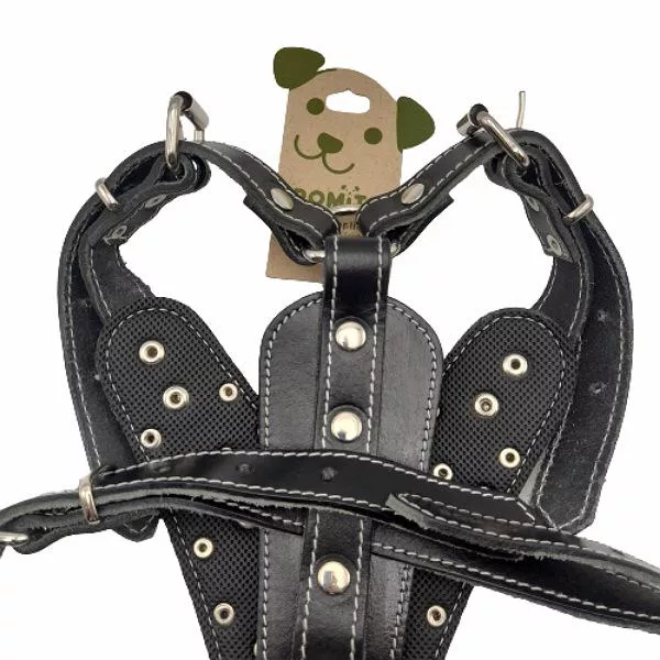 قلاده کمری سگ رومیتو طرح چرمی مدل گلادیاتور 2