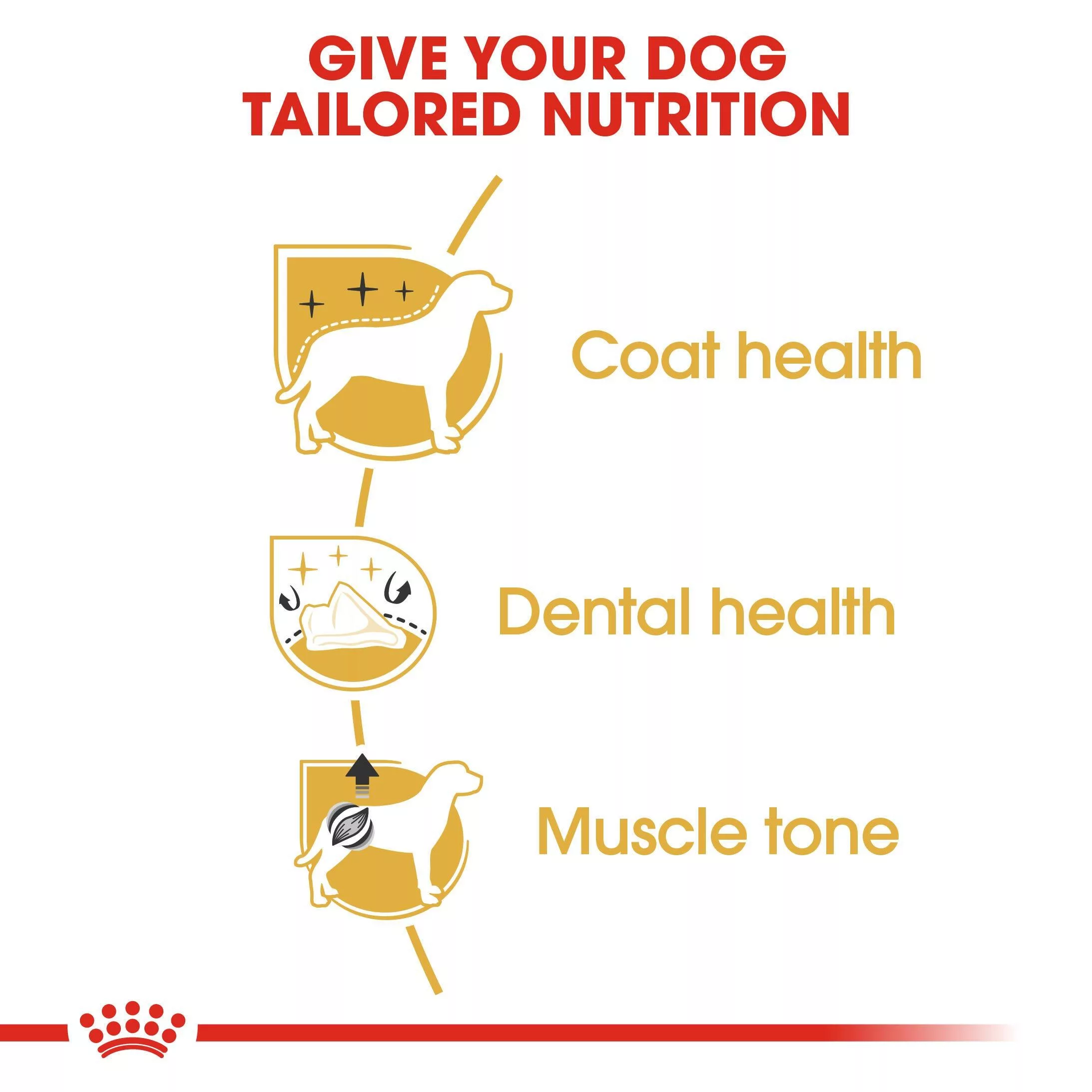 غذای خشک سگ رویال کنین مدل Poodle Adult وزن 3 کیلوگرم