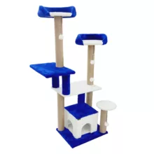 اسکرچر گربه آدریاناپت کو مدل کاملیا