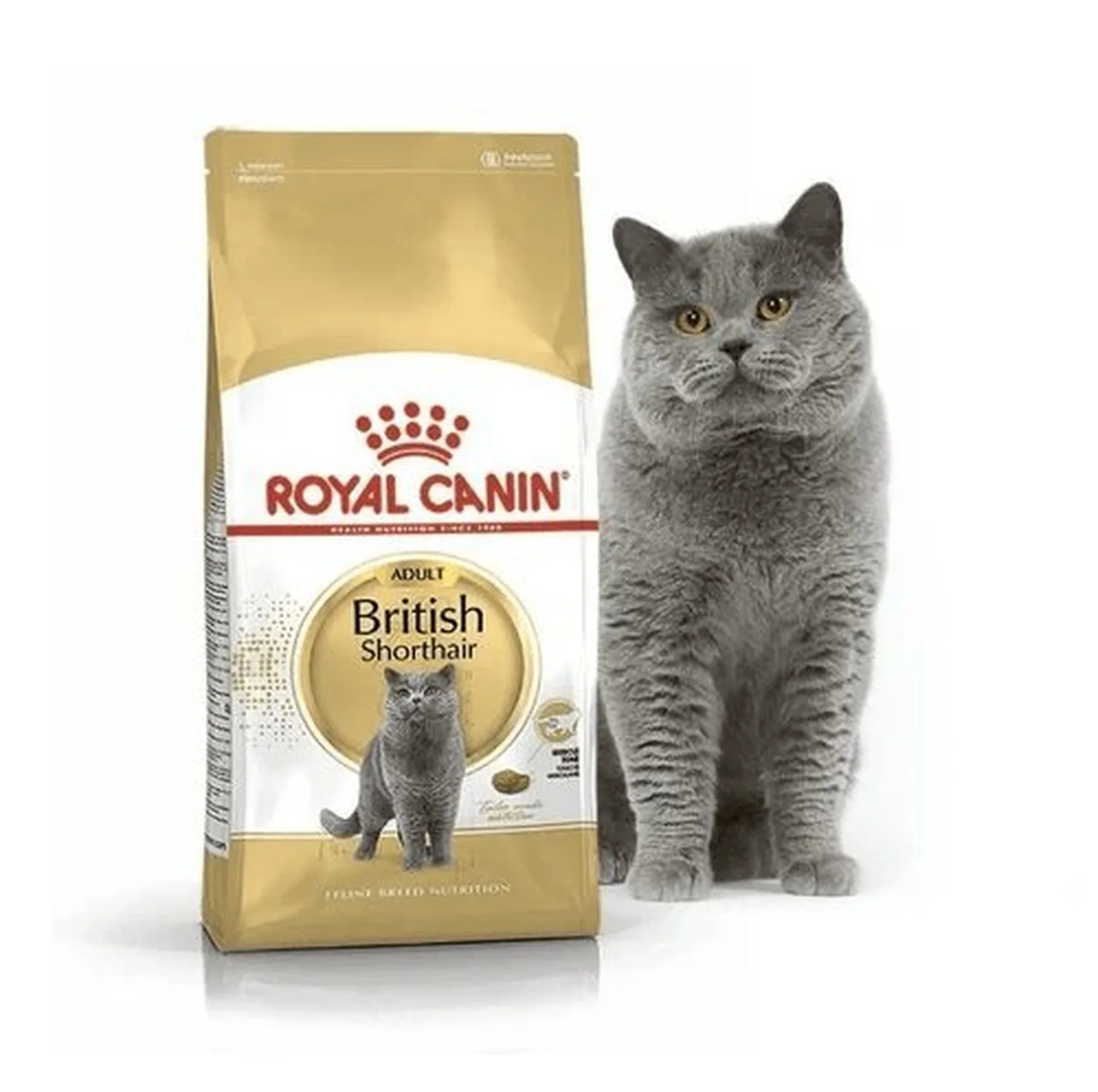 غذای خشک گربه بریتیش رویال کنین مدل British Shorthair وزن 2 کیلوگرم