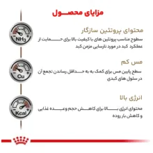 غذای خشک گربه رویال کنین مدل Hepatic S/O Index هپاتیک وزن 2 کیلوگرم