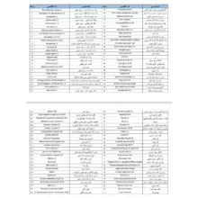 اسلاید میکروسکوپ برسر مدل آماده مجموعه 100 عددی