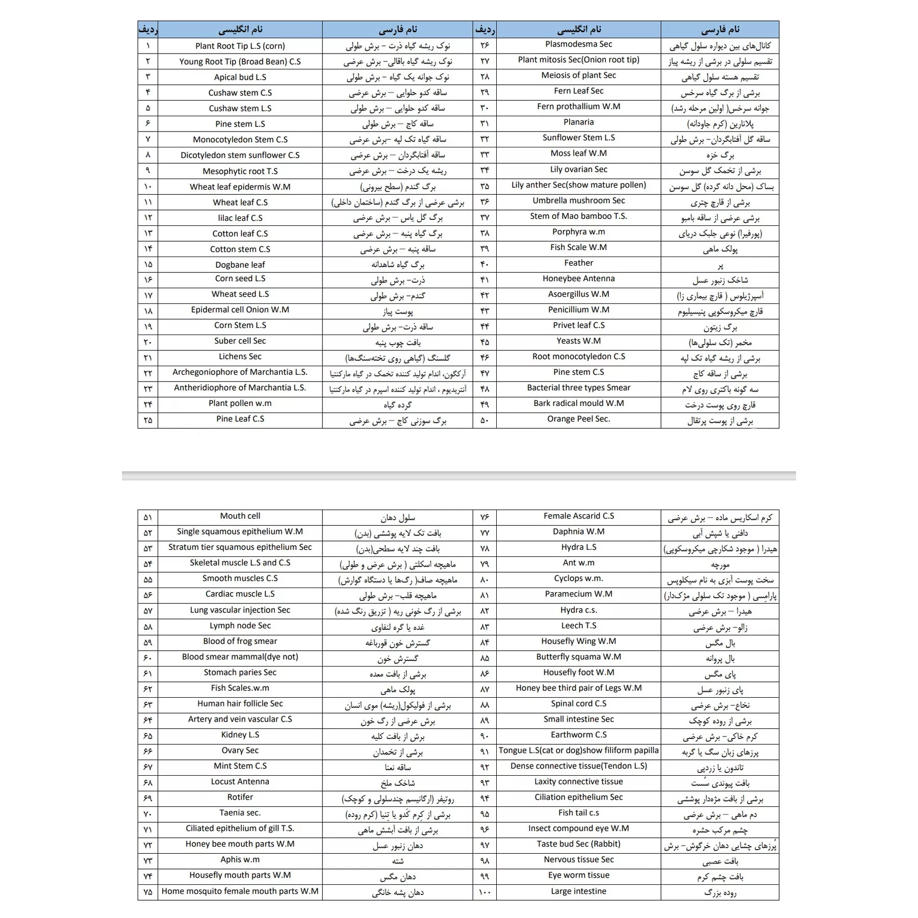 اسلاید میکروسکوپ برسر مدل آماده مجموعه 100 عددی
