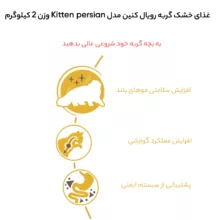 غذای خشک گربه رویال کنین مدل Kitten persian وزن 2 کیلوگرم