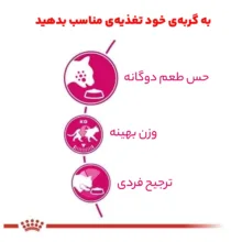 غذای خشک گربه رویال کنین مدل Savour Exigent وزن 2 کیلوگرم