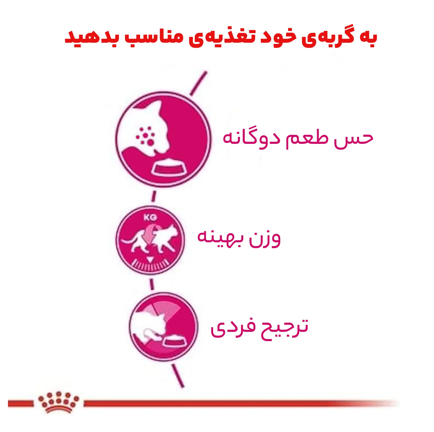 غذای خشک گربه رویال کنین مدل Savour Exigent وزن 2 کیلوگرم