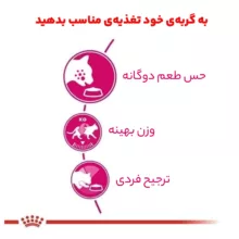 غذای خشک گربه رویال کنین مدل Savour Exigent وزن 2 کیلوگرم