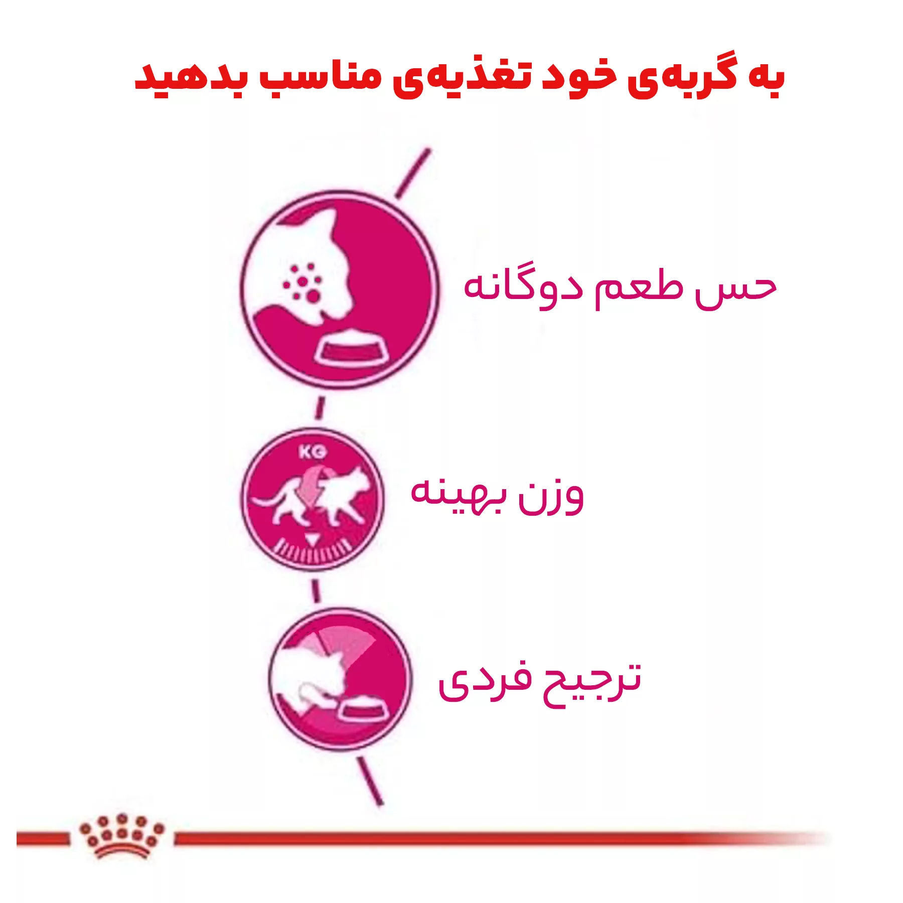 غذای خشک گربه رویال کنین مدل Savour Exigent وزن 2 کیلوگرم