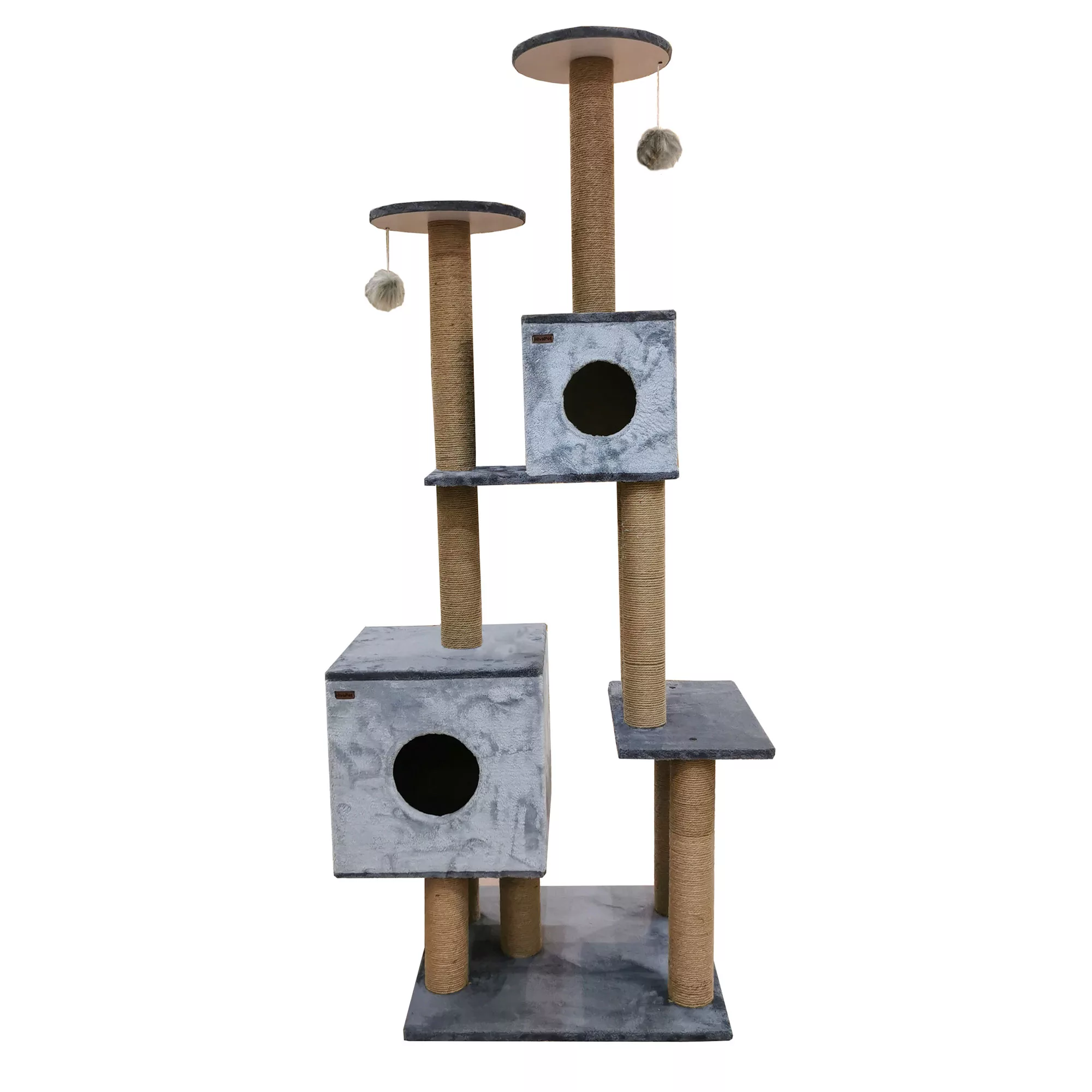 اسکرچر گربه هیوا پت مدل A73