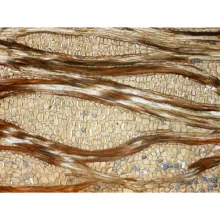 میکروسکوپ دیجیتال صنایع آموزشی مدل HD 800x NEW 2024