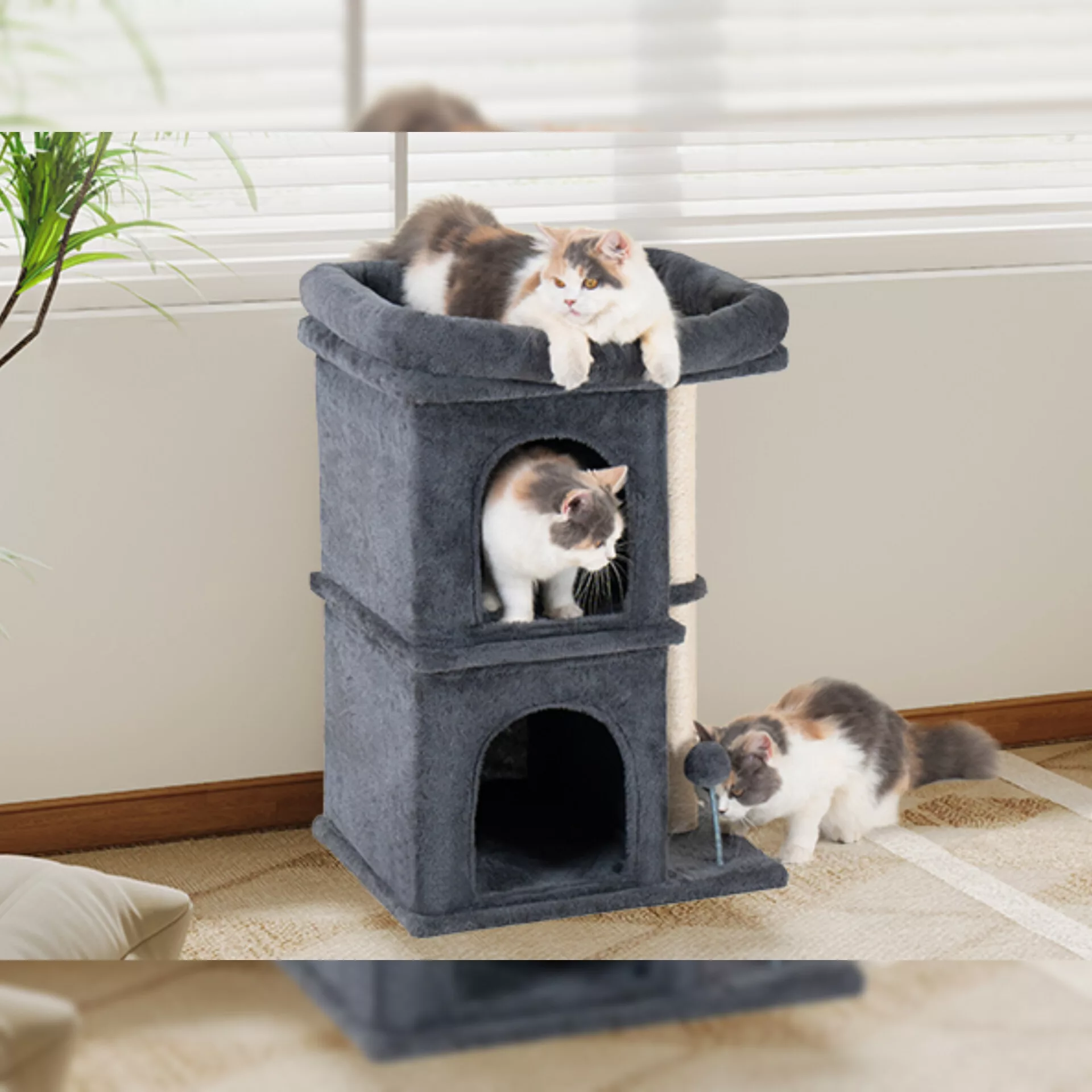 اسکرچر گربه مدل kadcat-shp600