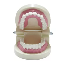 بازی آموزشی طرح مولاژ دندان مدل ASM40