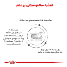 غذای خشک گربه رویال کنین مدل Hepatic S/O Index هپاتیک وزن 2 کیلوگرم